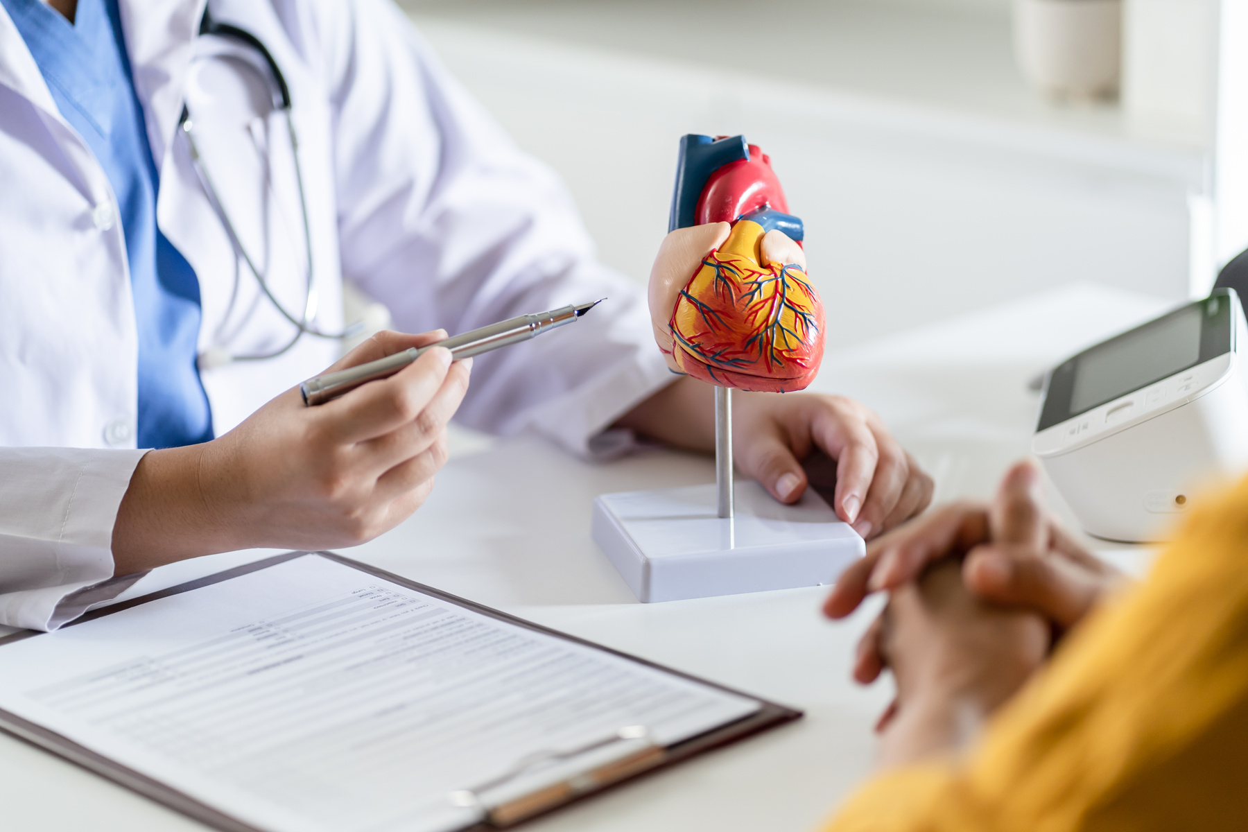 Cardiology Consultation Treatment of Heart Disease. Doctor Cardi